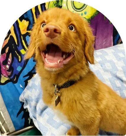 Daycare service thumbnail