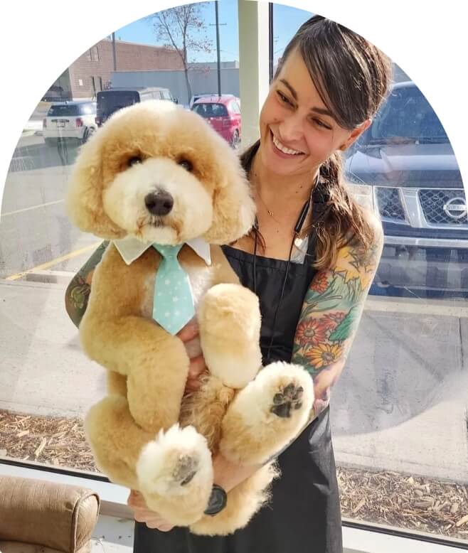 Dog after cleaning and shampoo image