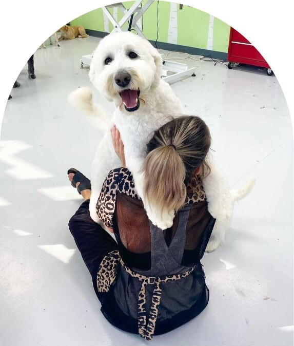 Best pet grooming choice image 1