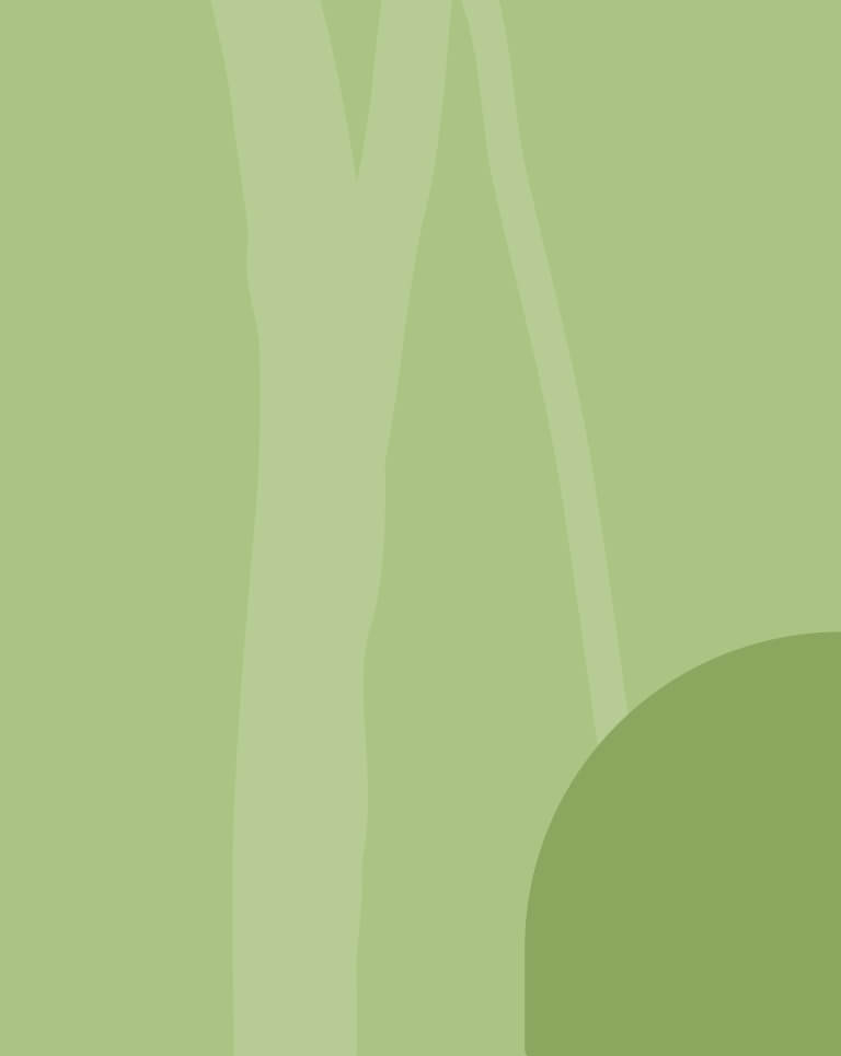 Branches of trees green bg sm