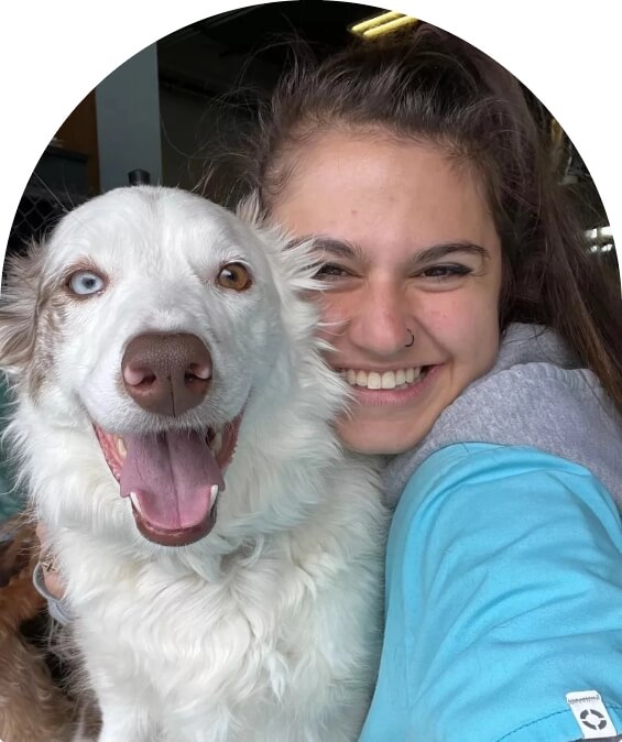 Dogs thrive philosophy image