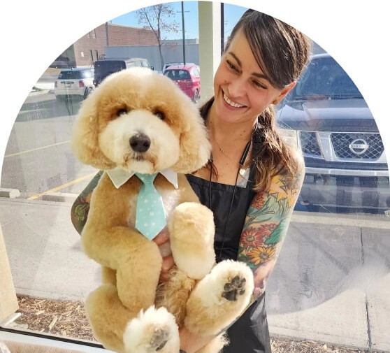 Girl holding a cute dog image