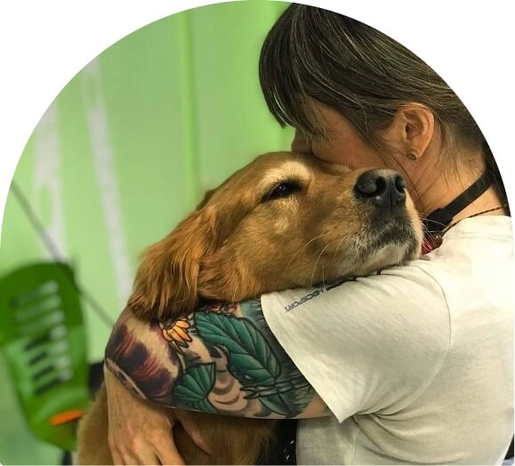 Girl is taking care of her dog image