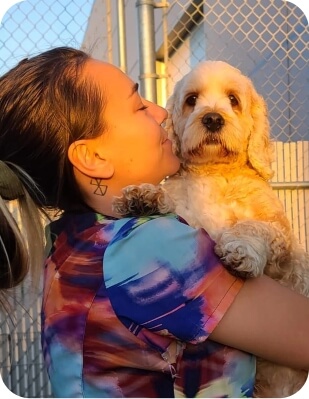 Holly cute dog bio image