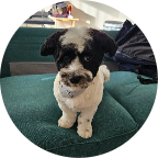 Tucker looks good image